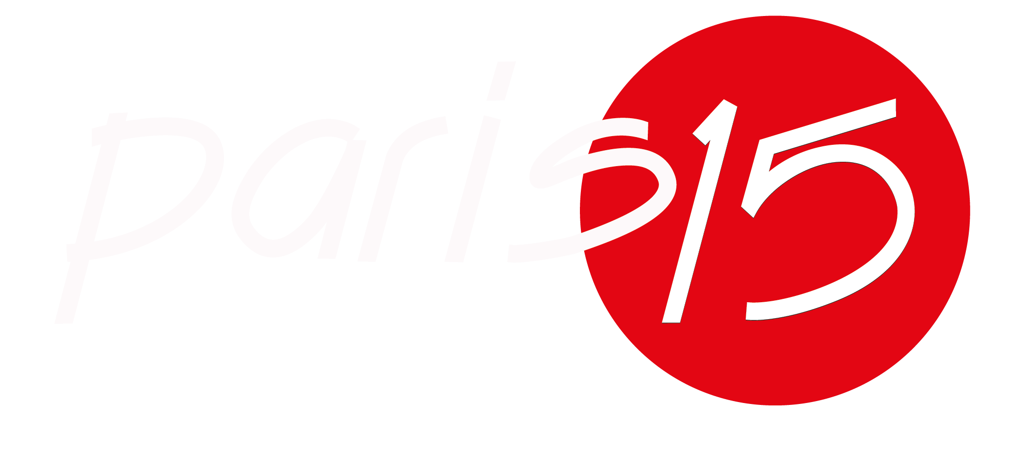 logo_300